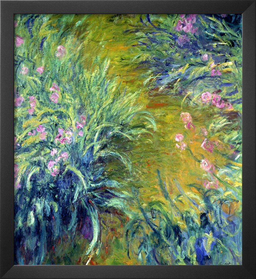 Iris Detailed - Claude Monet Paintings