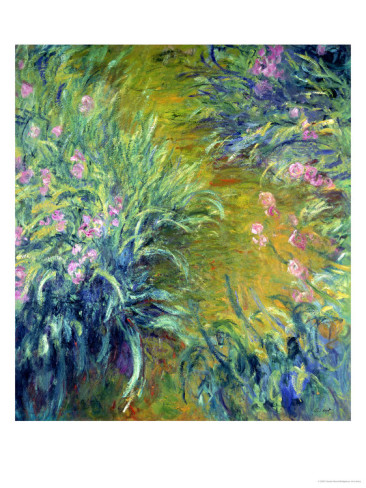 Iris Detailed - Claude Monet Paintings